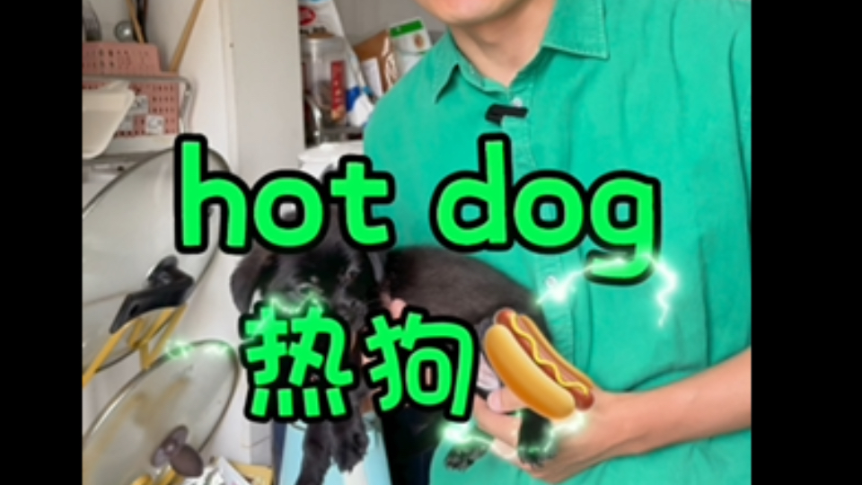 hotdog【热狗】热狗就是热狗doggo【隐蔽的】狗走的时候都比较隐蔽哔哩哔哩bilibili