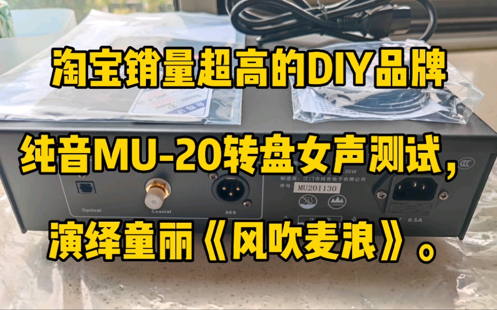 淘宝销量超高的DIY品牌纯音MU20转盘女声测试,演绎童丽《风吹麦浪》.哔哩哔哩bilibili