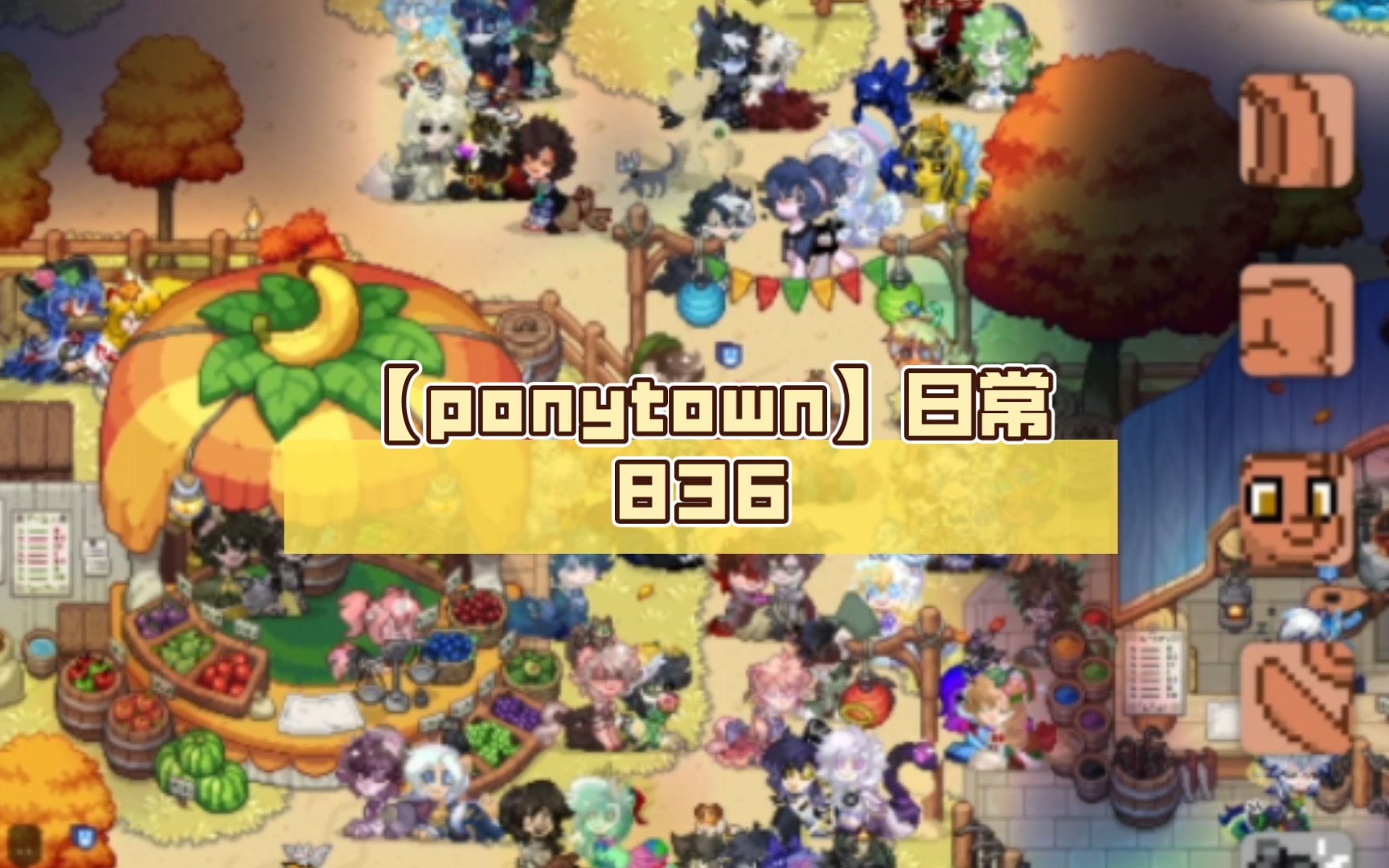 【ponytown】日常836(集市)