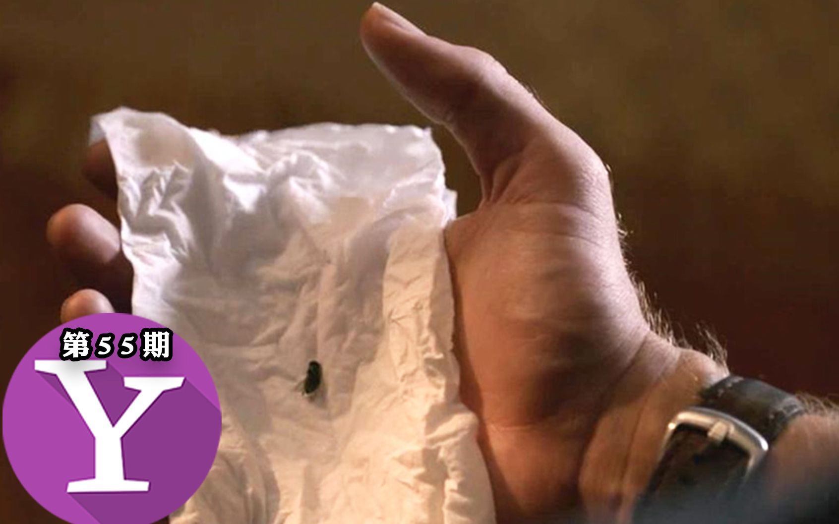 拍死一只苍蝇赢得1000美元,完成13关就能赢得1个亿,你会做吗?