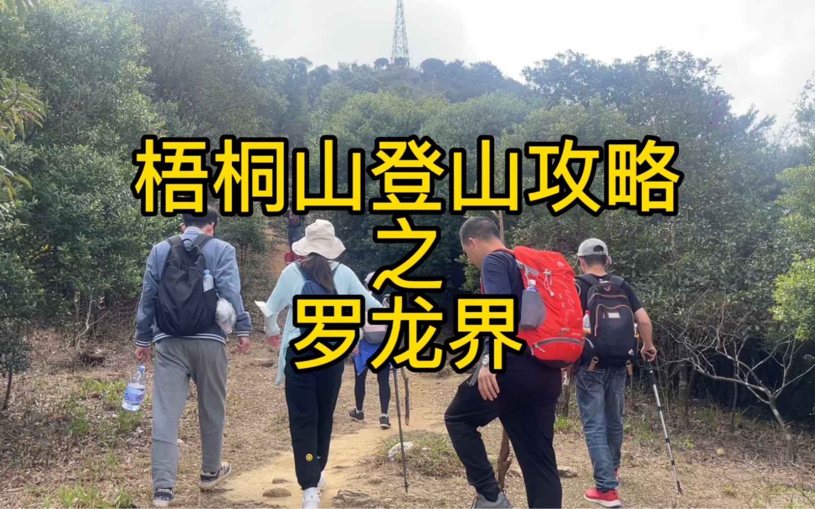 梧桐山登山攻略—罗龙界,坡度缓,风景好,快带上你的兄弟姐妹一起拍美照吧哔哩哔哩bilibili