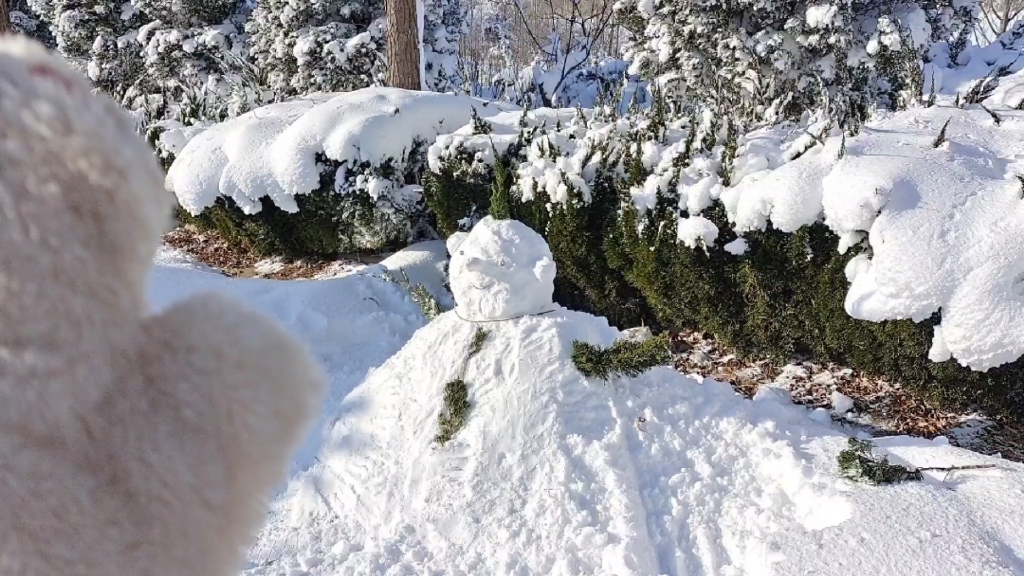 有什么烦恼是跳进雪坑解决不了的呢?