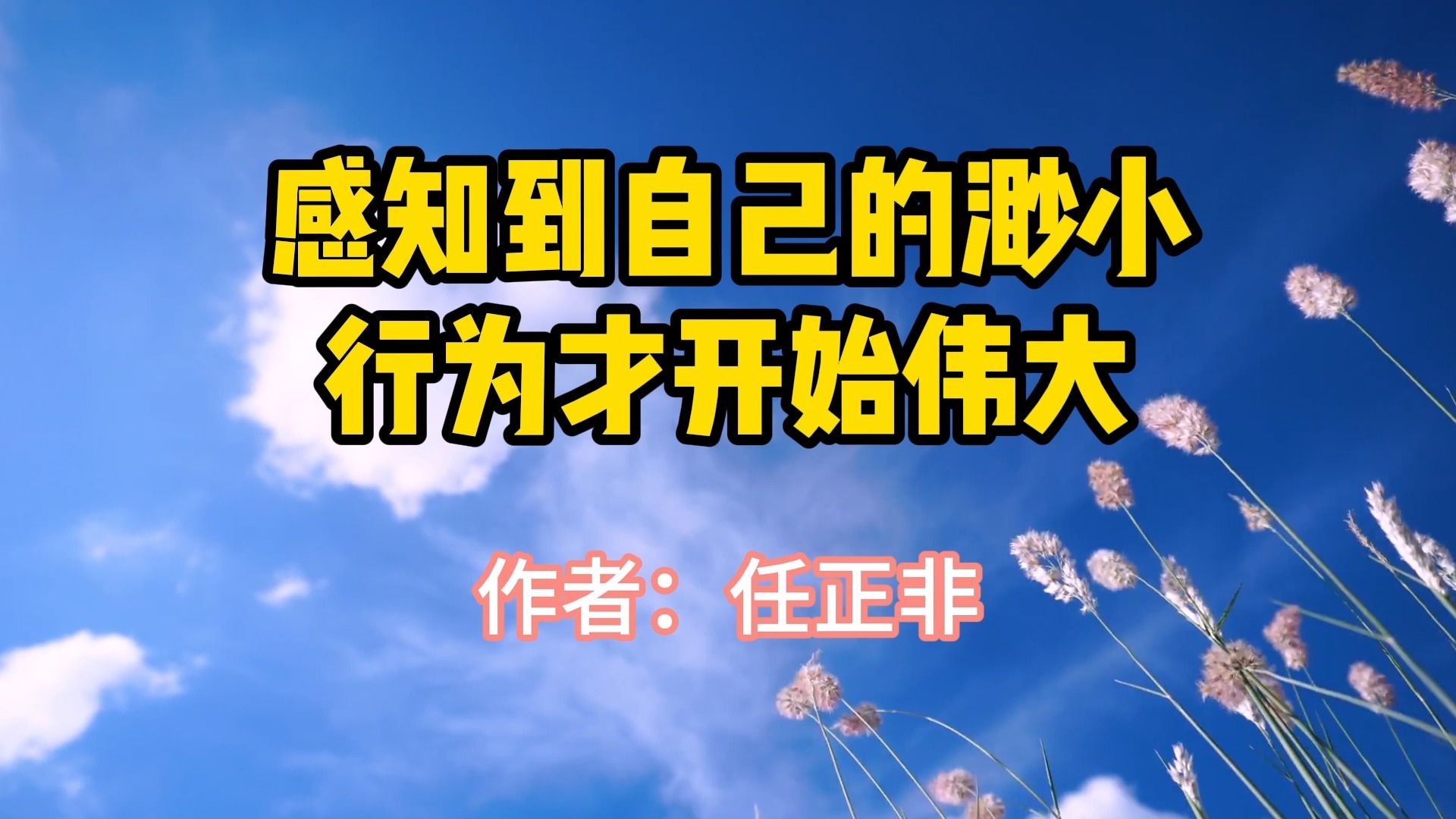 经典文章,《感知到自己的渺小,行为才开始伟大》,作者任正非哔哩哔哩bilibili