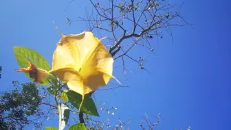 北海道之冬 哔哩哔哩 Bilibili