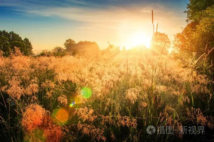 [图]记录拍下此刻天空图片，早晨的阳光