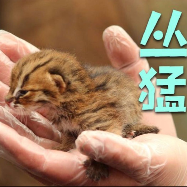 c707aed3d3593f8f40cfc56408e2cd