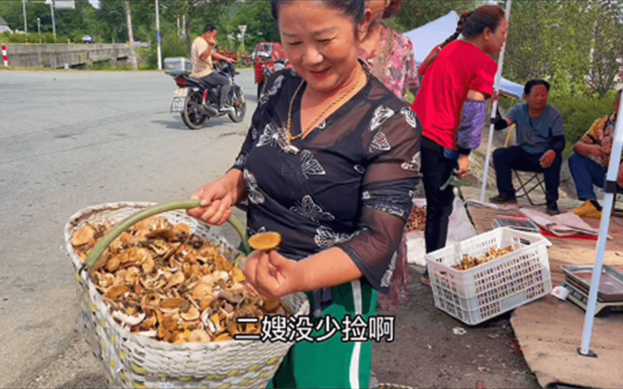 农村山上榛蘑多不多?二嫂拎一大筐乐得合不拢嘴,快来看看咋回事哔哩哔哩bilibili