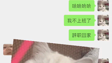 [图]想辞职的第n个理由