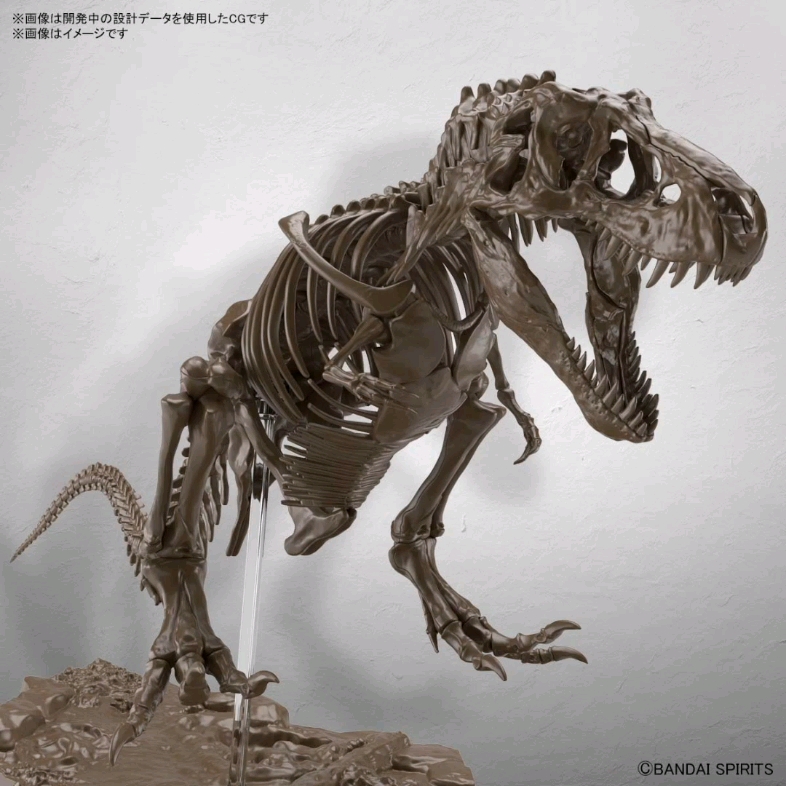 [图]万代拼装新品1/32 Imaginary Skeleton 暴龙化石全长35cm，附带解说书、地台价格:3,960日元2021年07月发售