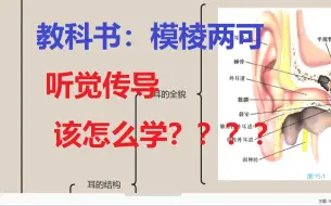 Скачать видео: 中枢神经11节：听觉传导通路——书本介绍模糊怎么办？