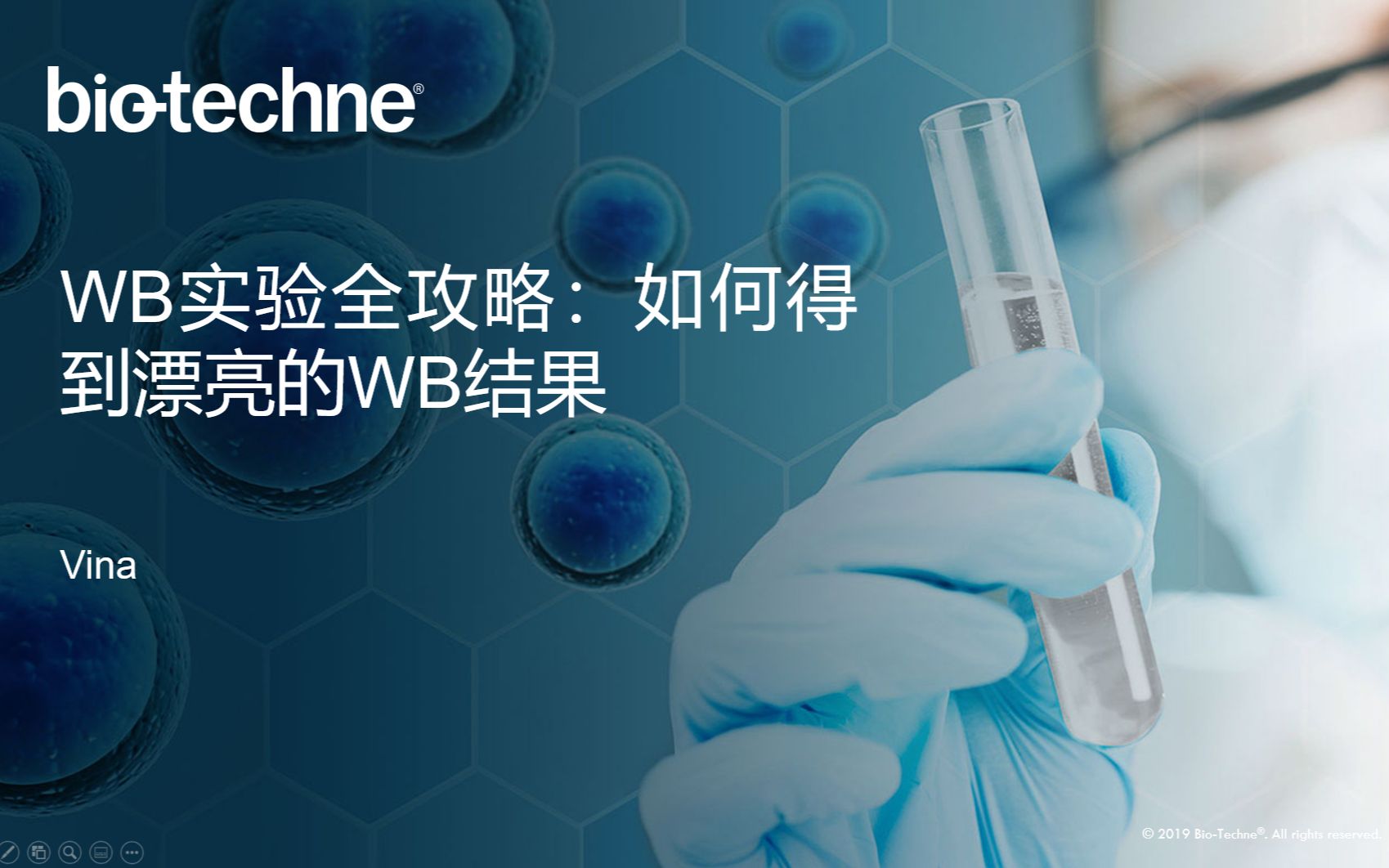 BioTechne WB实验全攻略:如何得到漂亮的WB结果哔哩哔哩bilibili