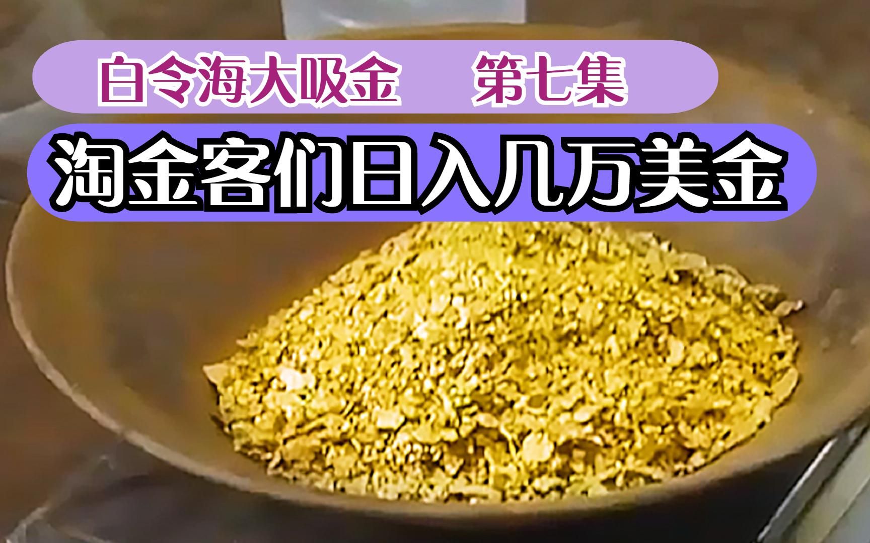 【寻宝淘金】白令海大淘金,这个淘金客每天就能进账几万美元,真让人