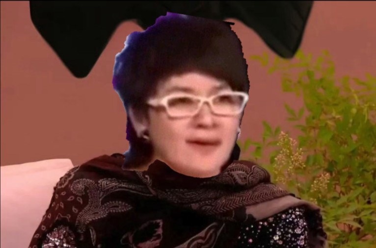 柯以敏请战歌手2024