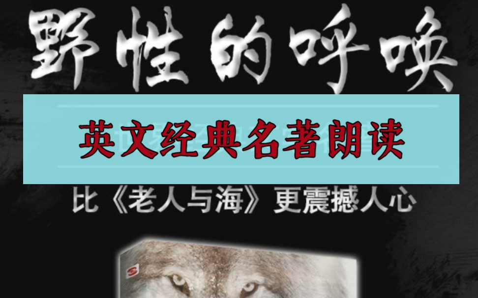 [图]【英文原版名著】野性的呼唤，The call of the wild，英语阅读提升计划，读英语原版名著