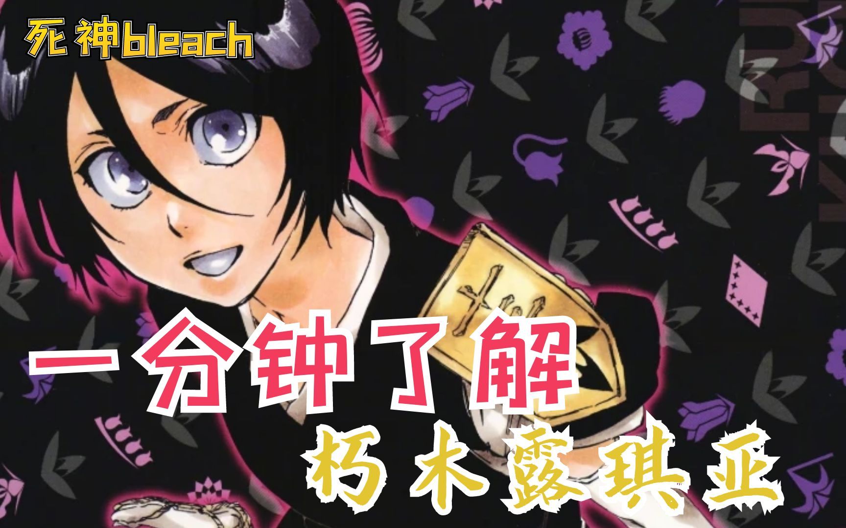 一分钟了解朽木露琪亚?【死神bleach】哔哩哔哩bilibili