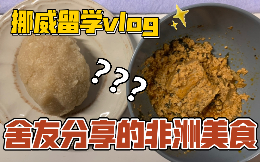 挪威留学vlog|尼日利亚舍友做的非洲传统食物哔哩哔哩bilibili