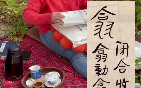 除了口鼻,我们脊背也在呼吸?! 导引养生十二字心法之“吸”———吸与翕哔哩哔哩bilibili