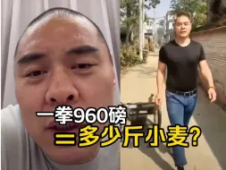 Download Video: 张志磊一拳960磅是什么概念！永远不要招惹一个着急回家收麦的河南人 # 张志磊ko维尔德 # 拳击 # 世界重量级拳王＃