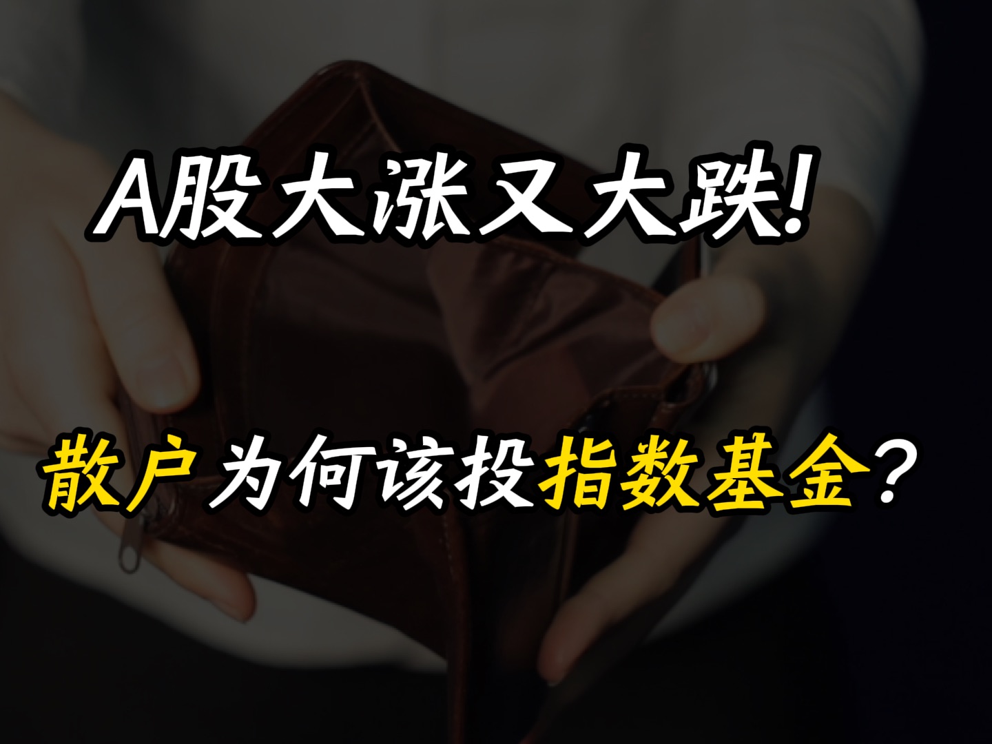 A股大涨又大跌!散户为什么更适合投指数基金?哔哩哔哩bilibili