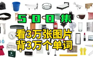 Download Video: 【500集】（英式发音）看3万张图片背3万个单词-第一期-中英cc字幕-英语听力单词口语语法