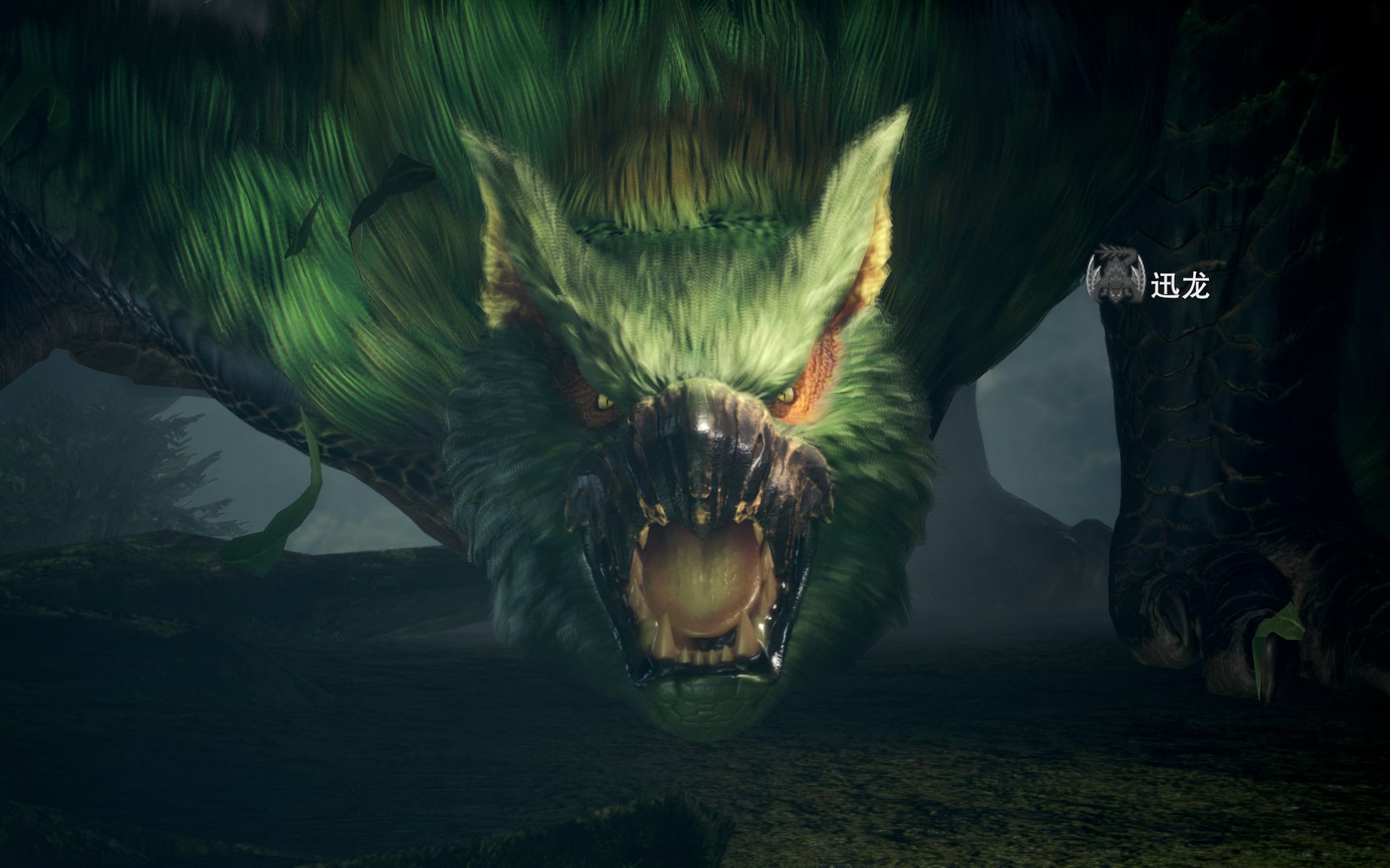 力战王绿迅龙来了