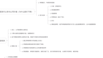 公司理财第20章资本筹集哔哩哔哩bilibili