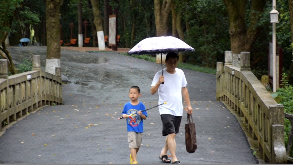 金鹗山雨哔哩哔哩bilibili