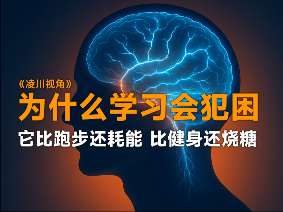 为什么学习会犯困