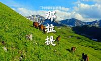 那拉提｜奔赴一场治愈的草原行