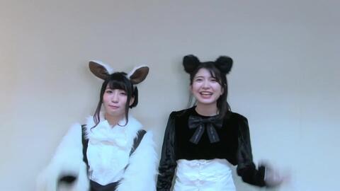 けものフレンズ３ １周年お祝いコメント映像 ほなみ 久遠エリサ 哔哩哔哩