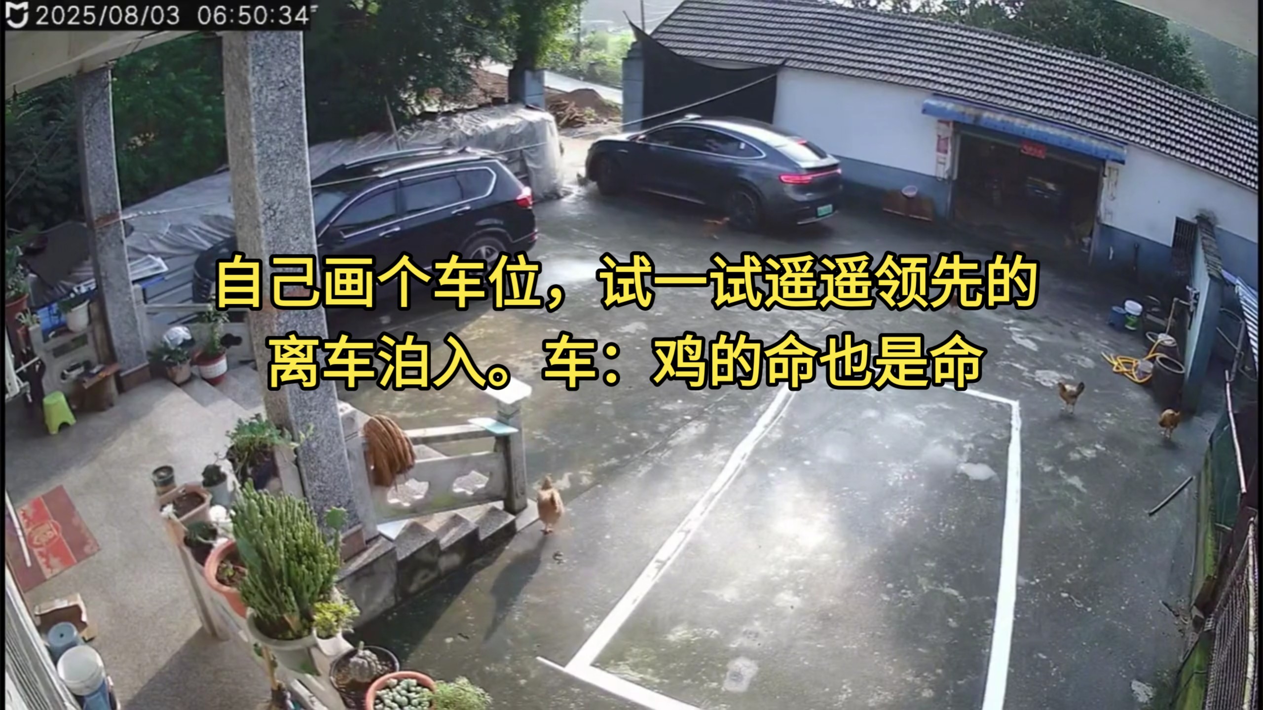 自己画个车位，试一试遥遥领先的离车泊入。车：鸡的命也是命