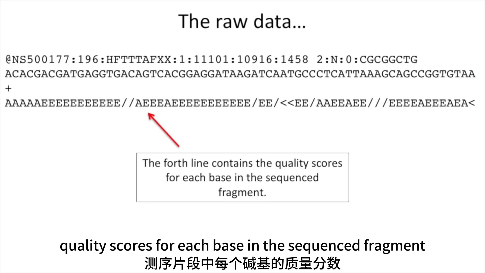 转录组测序 | RNAseq | 应用 原理 步骤 结果解读哔哩哔哩bilibili