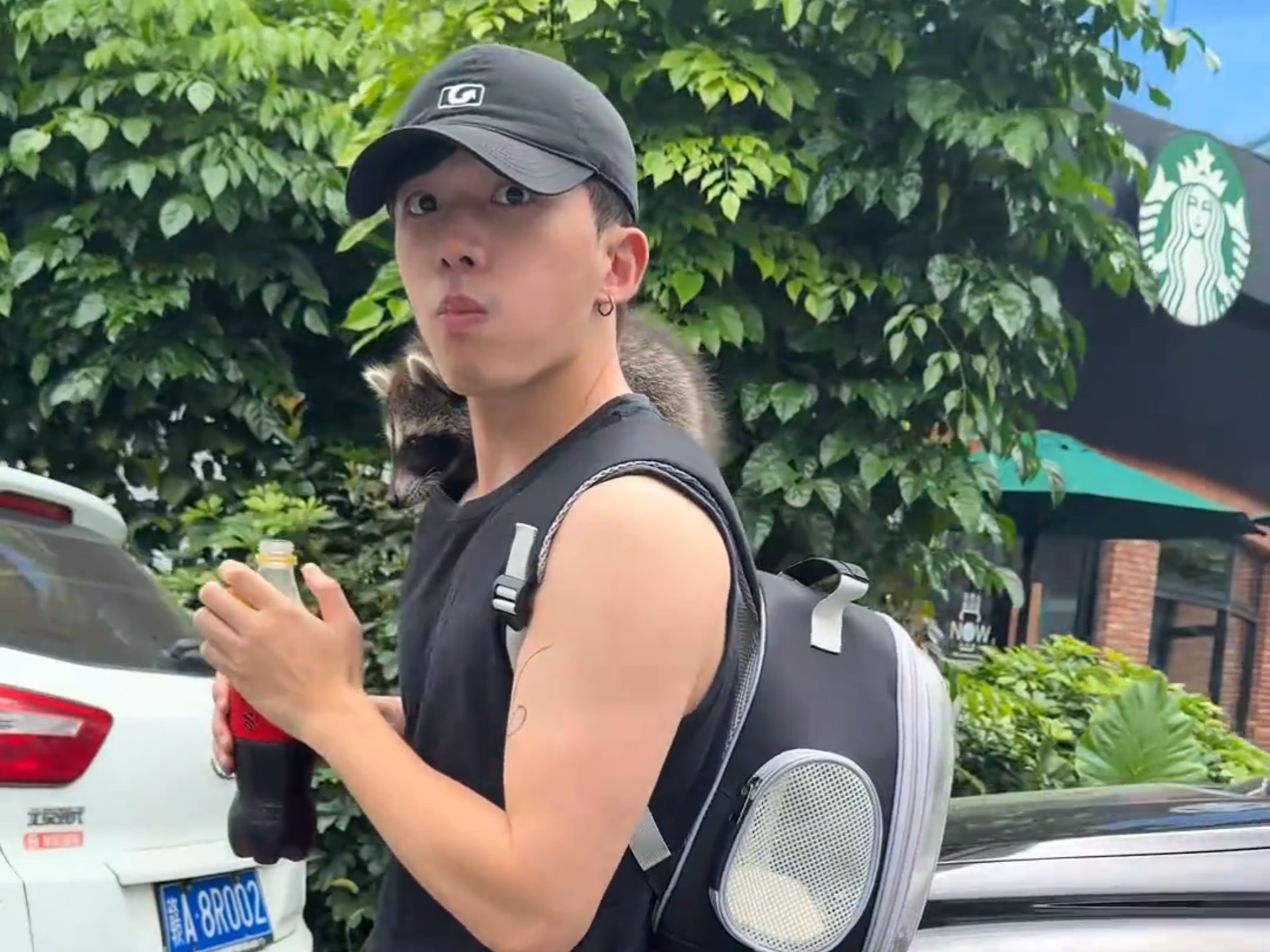 女生想摸路人的小浣熊，下一秒就这么水灵灵地扔进来了……