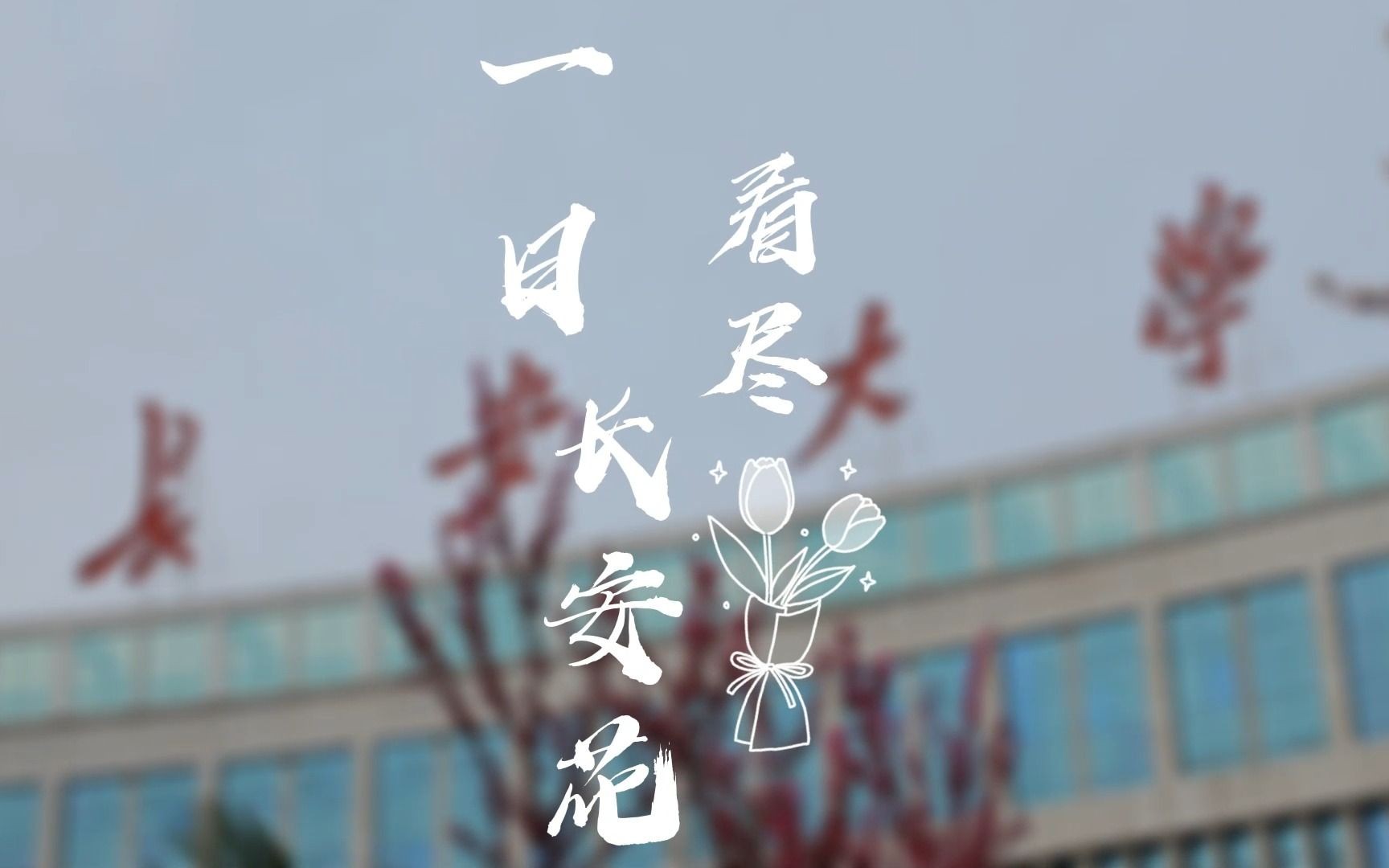 一日看尽长安花哔哩哔哩bilibili