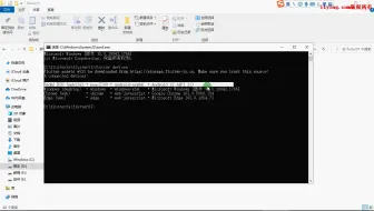 Flutter 入门实战教程