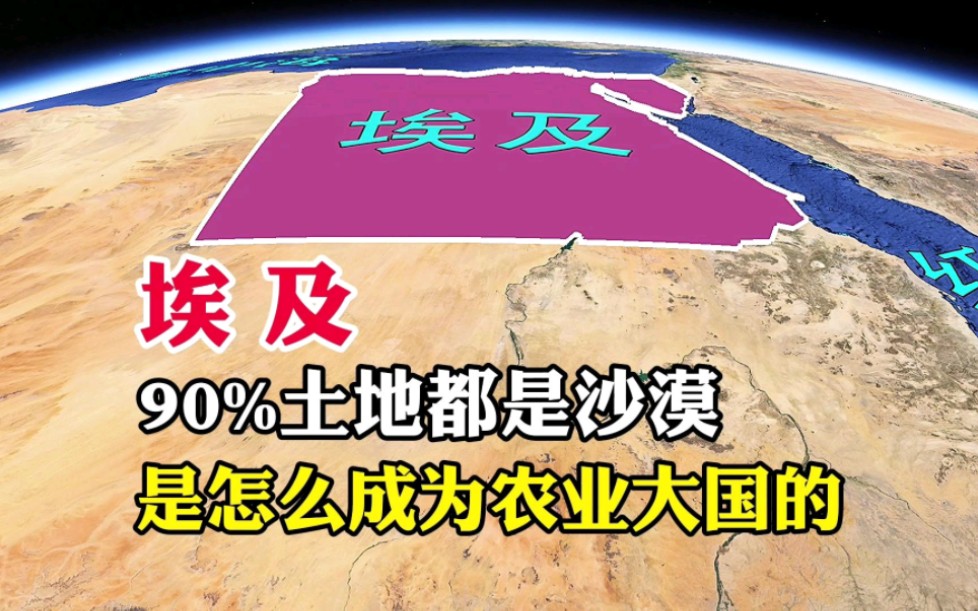 埃及,90%土地都是沙漠,居然还是一个农业大国哔哩哔哩bilibili