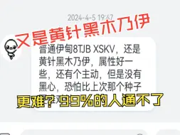 粉丝：又是黄针黑木乃伊。99%的人通不了关   我：有点东西