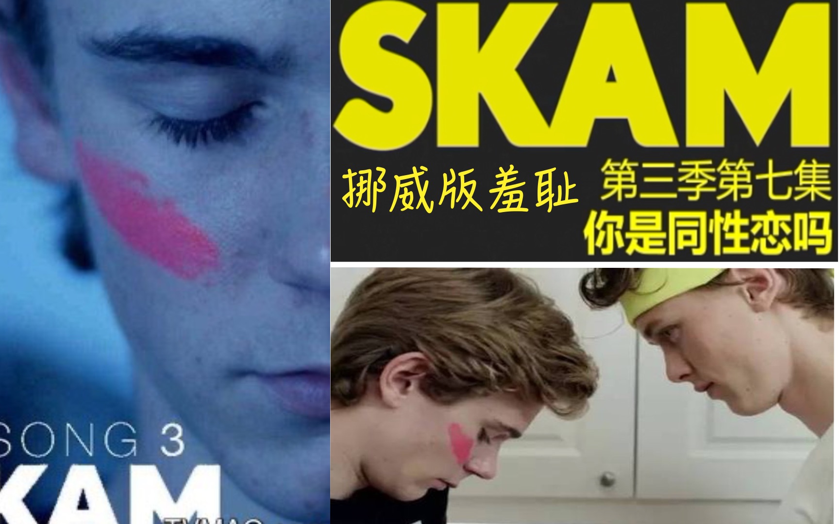 【腐剧/熟肉】挪威《SKAM/羞耻》第三季粉红07 好基友助攻小天使和北欧撩神哔哩哔哩bilibili