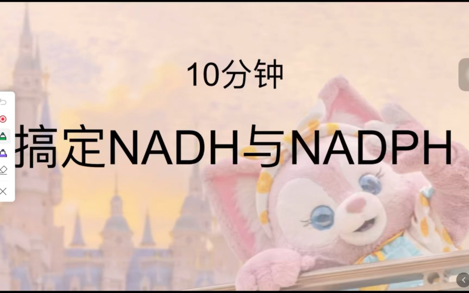 不到10分钟就让能你搞定NADH和NADPH!哔哩哔哩bilibili