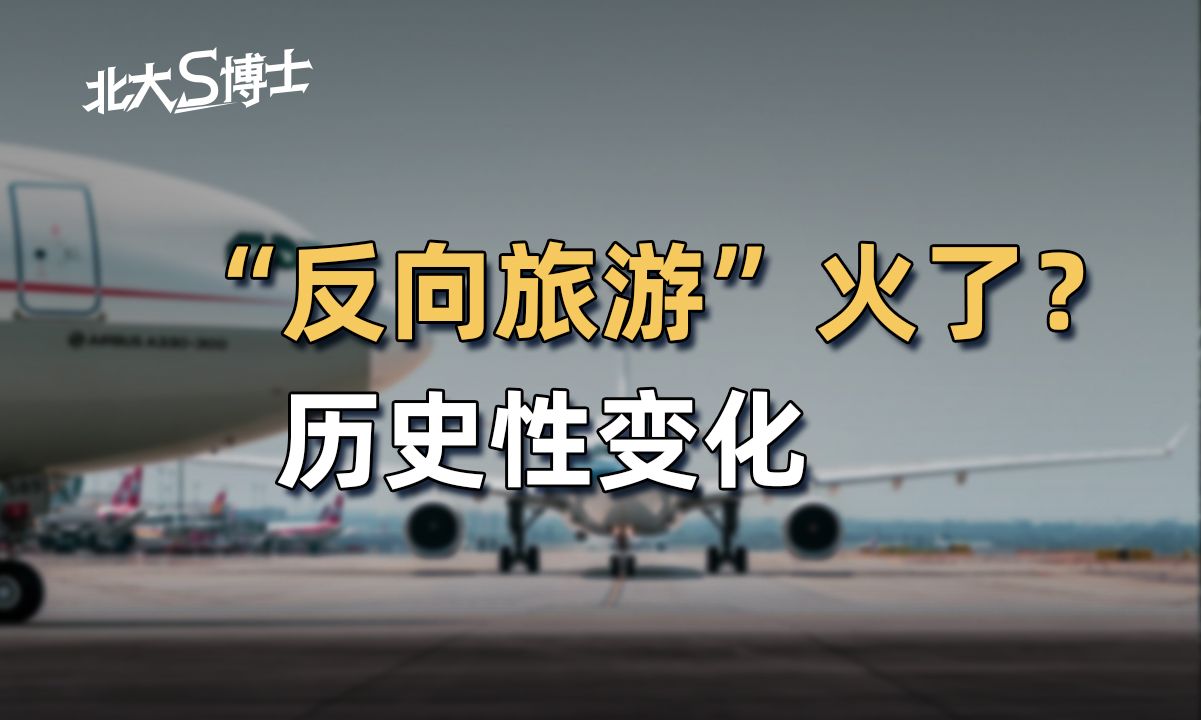 “反向旅游”火了?大家首选地居然是这里哔哩哔哩bilibili