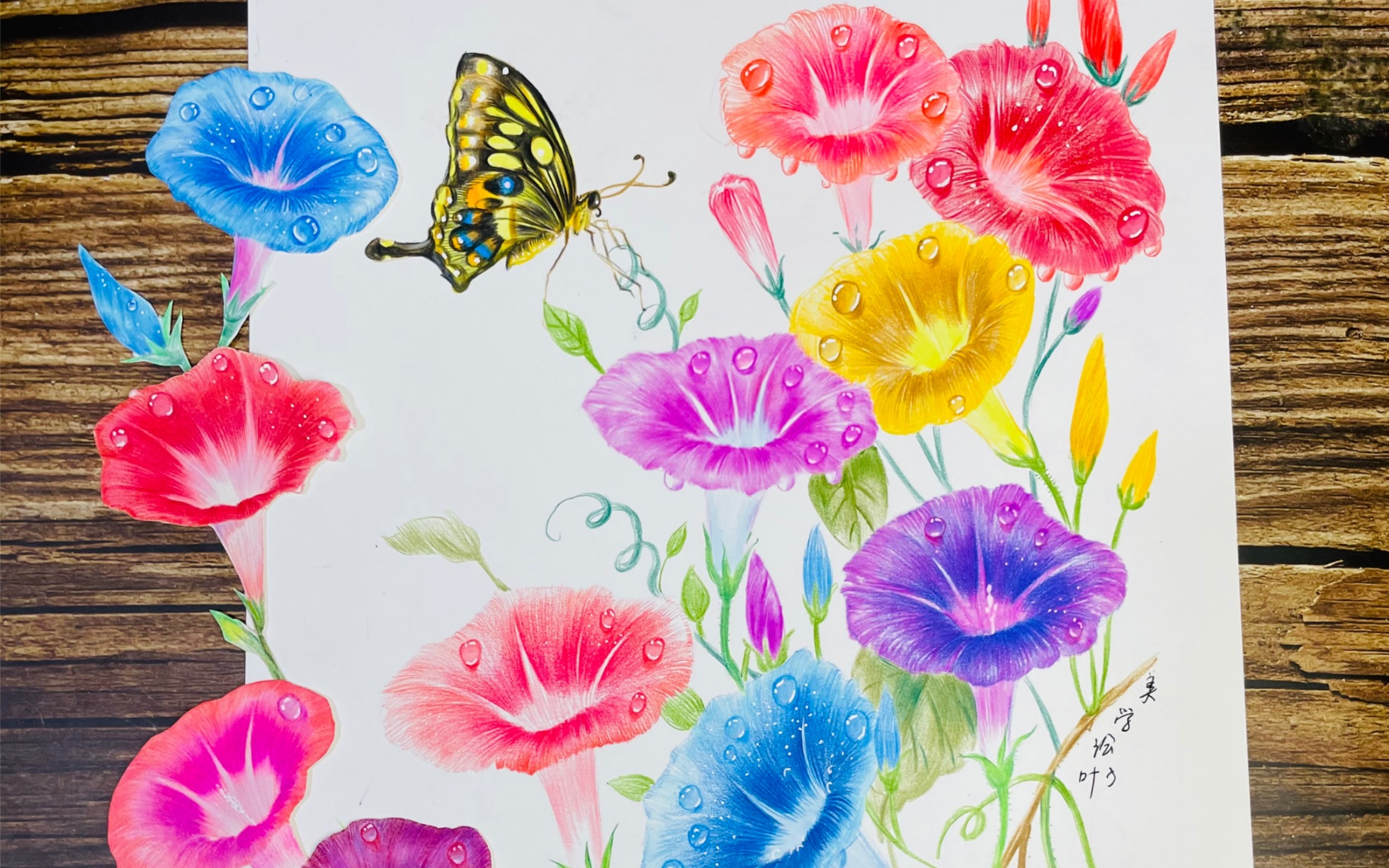 彩铅蝶恋花