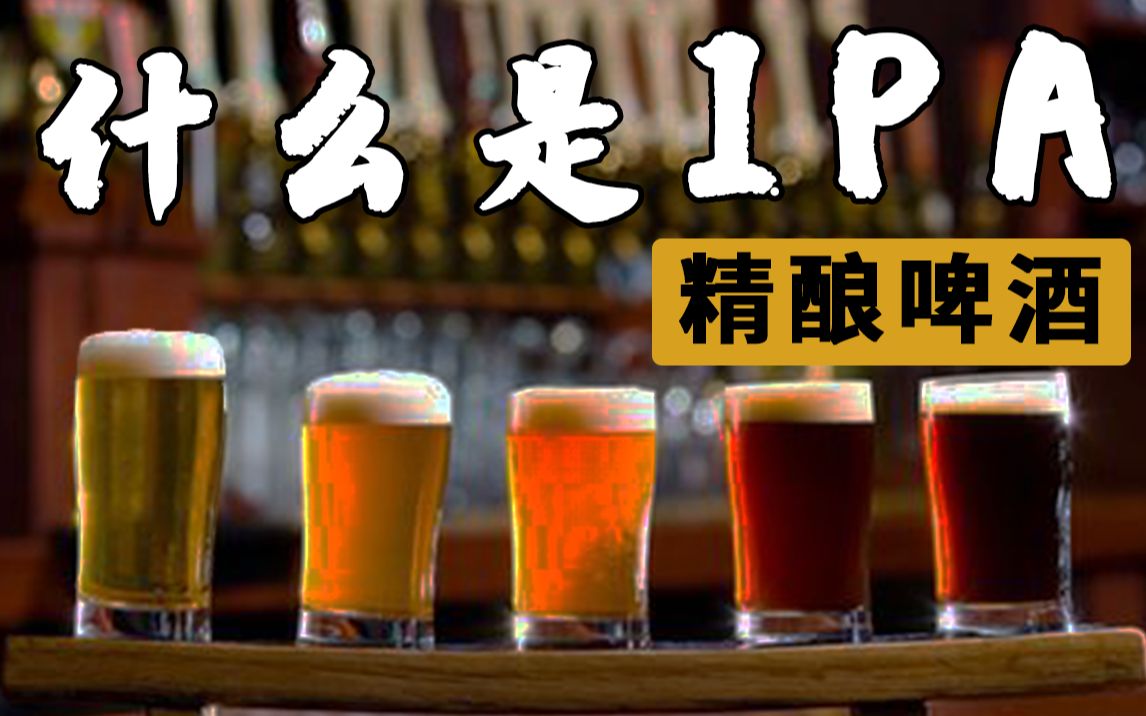 侵略战争带来的精酿啤酒|IPA的历史|你真的了解IPA精酿啤酒吗?哔哩哔哩bilibili