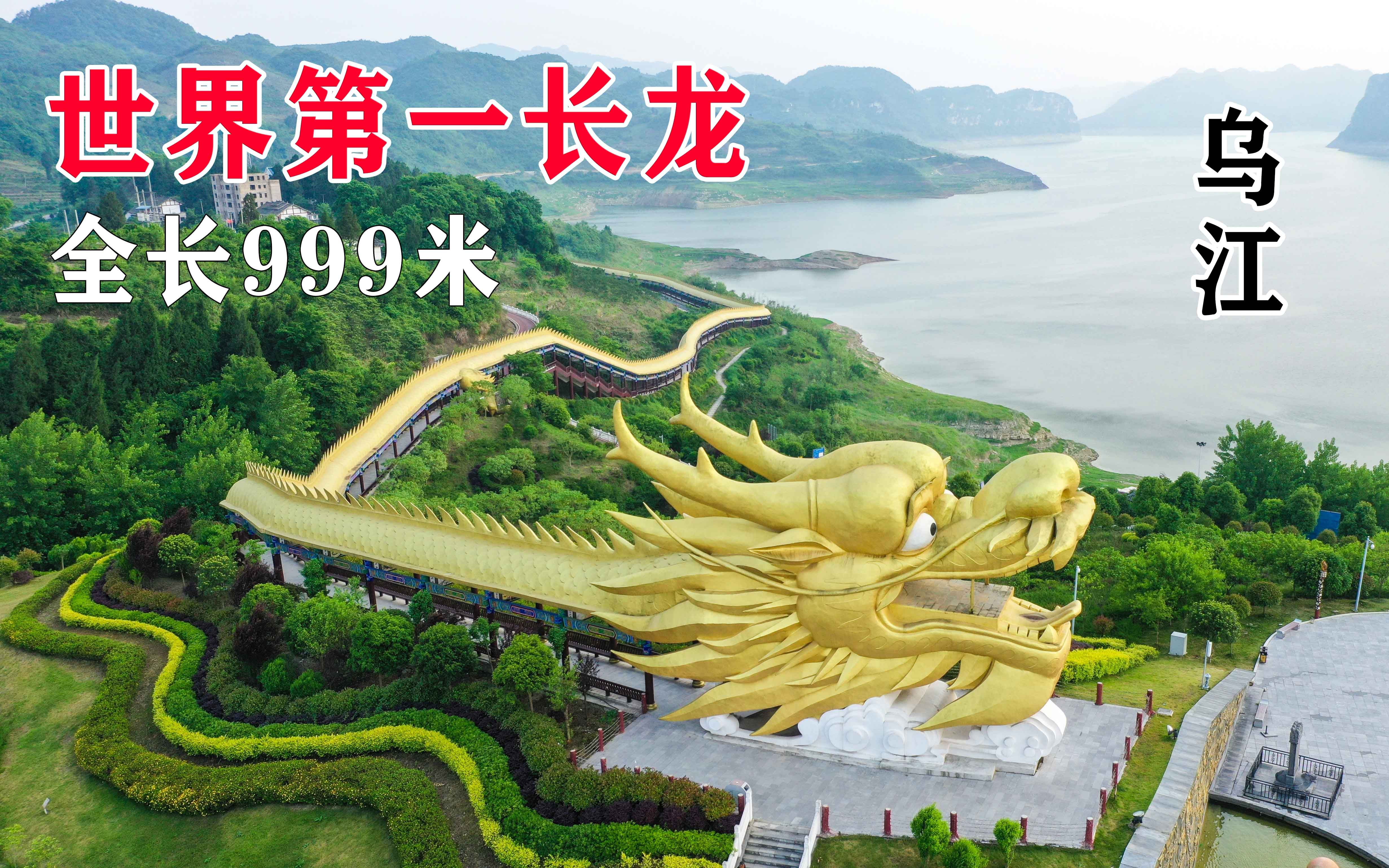 贵州乌江边上,盘踞着一条长达999米的金色巨大长龙,太壮观了