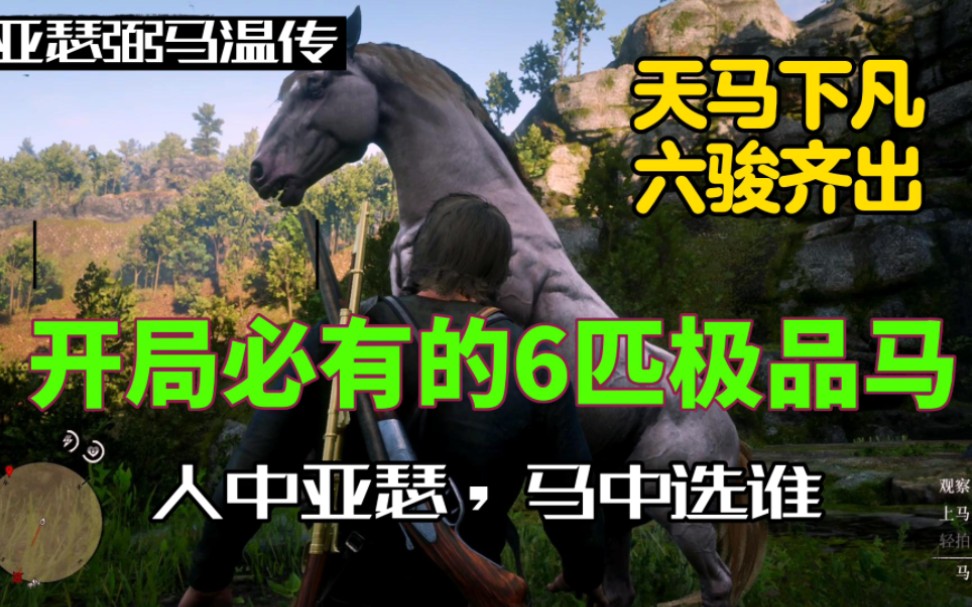 【荒野大镖客2】开局必有的6匹极品马,从阿拉伯马到安达卢西亚马,亚瑟成为养马大户,你选择哪一款成为亚瑟的永久坐骑?哔哩哔哩bilibili