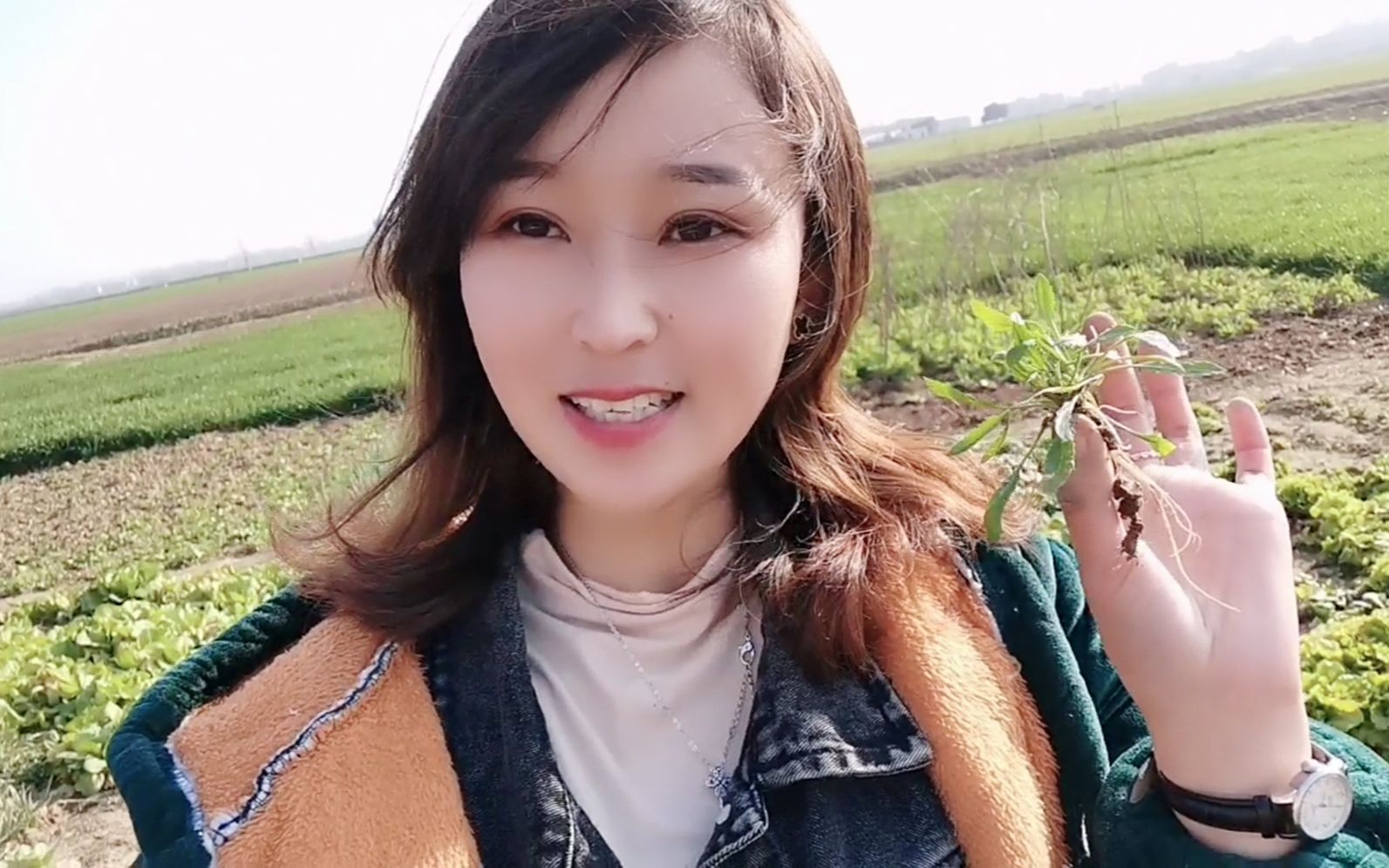阜阳妹子去地里挖荠菜,挖了满满一袋不愁吃了,在农