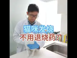 Download Video: 猫咪发烧不用退烧药？