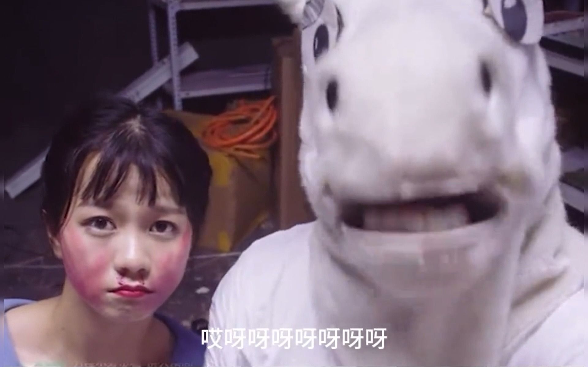 很遗憾~本市的知名女主播楚楚baby依旧下落不明~哈哈哈!