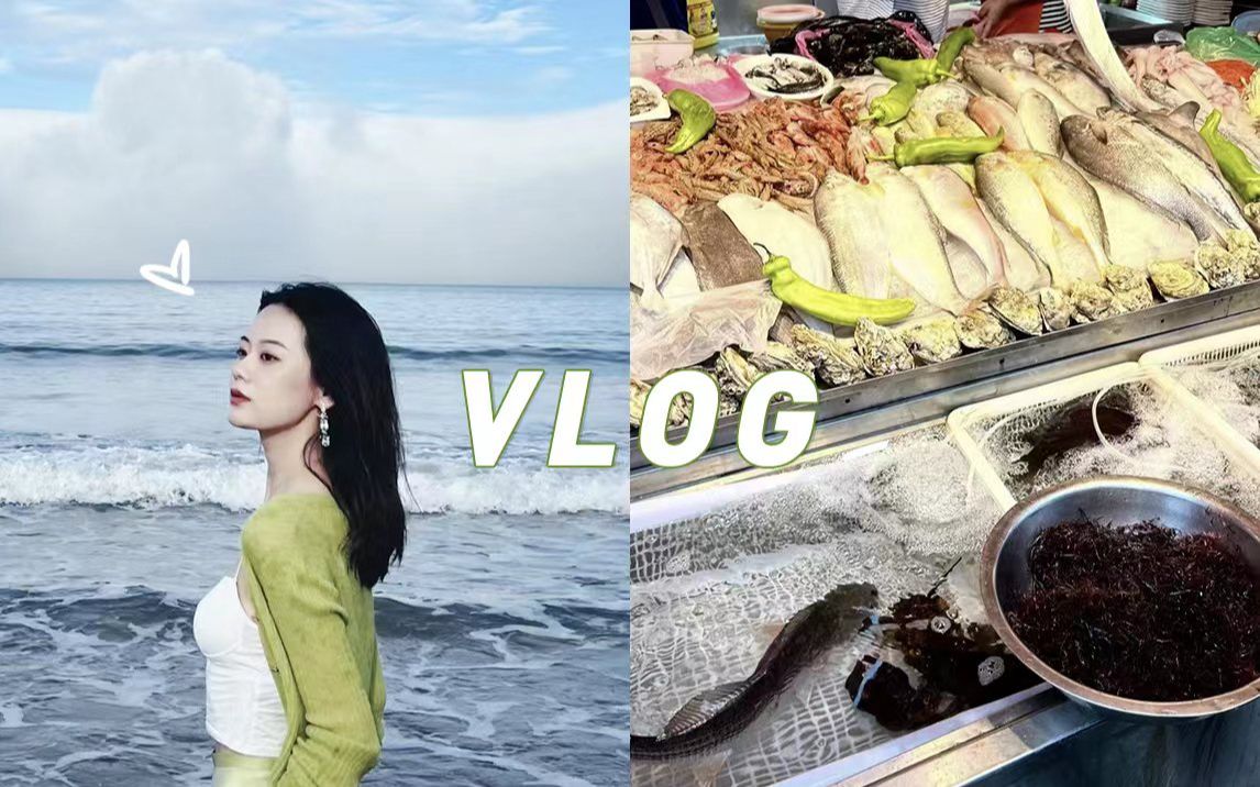 舟山VLOG:夏天当然要和朋友们去看海啦!不出省的看海计划哔哩哔哩bilibili