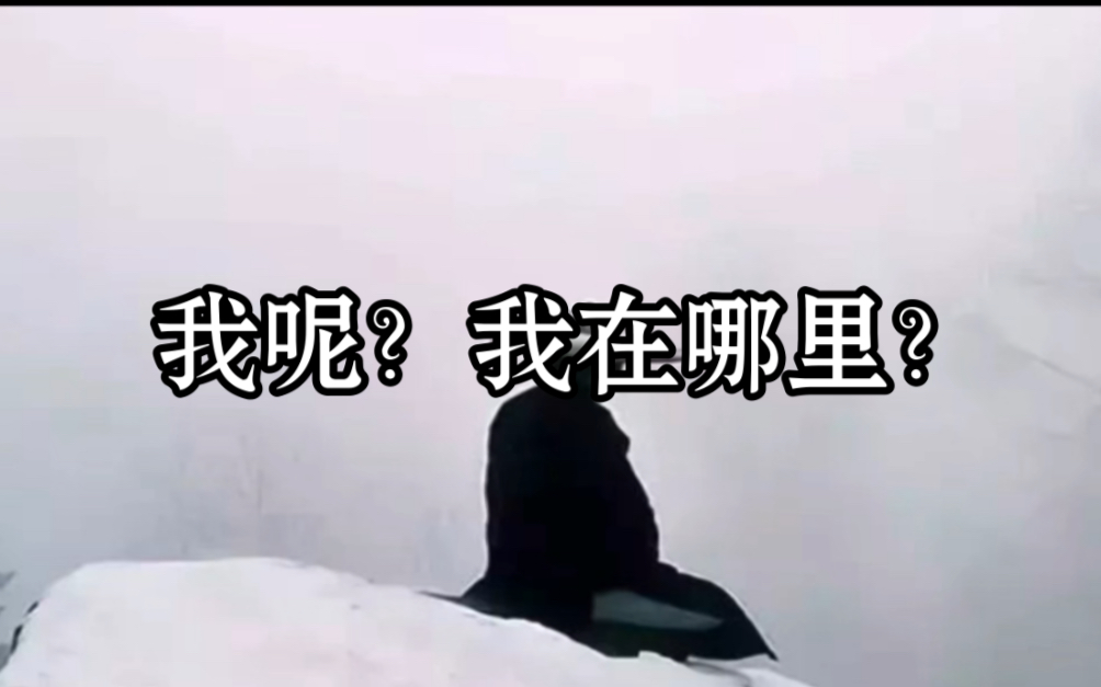 我呢?我在哪里?哔哩哔哩bilibili