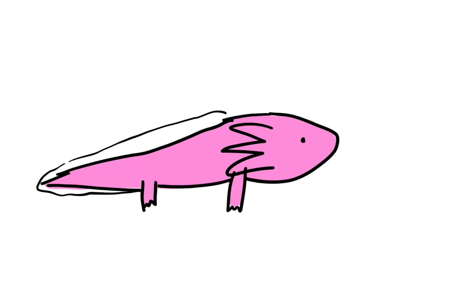 你知道六角龙鱼是怎么移动的吗?